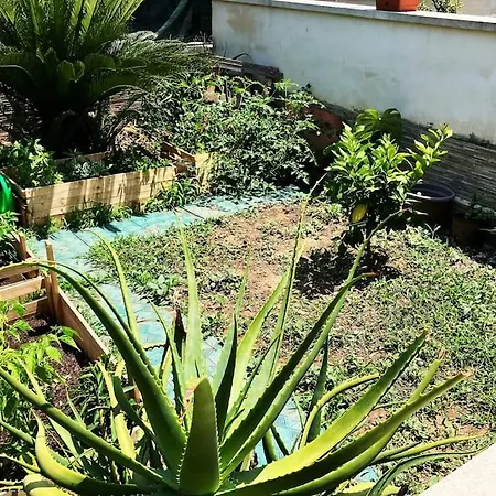 La Casa Di Aurora *