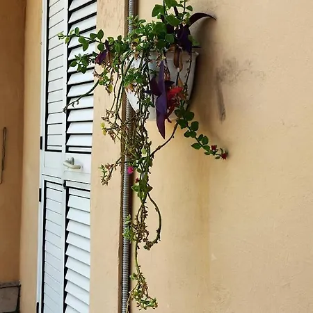 La Casa Di Aurora * Lecce